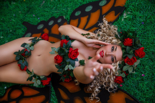 �1758456 �������(a): ����������:2560x1707